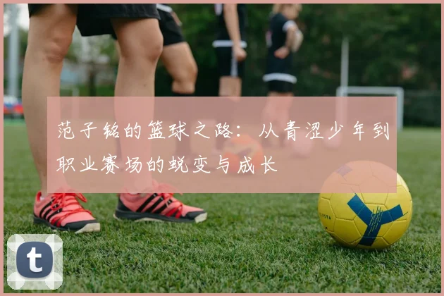 范子铭的篮球之路：从青涩少年到职业赛场的蜕变与成长