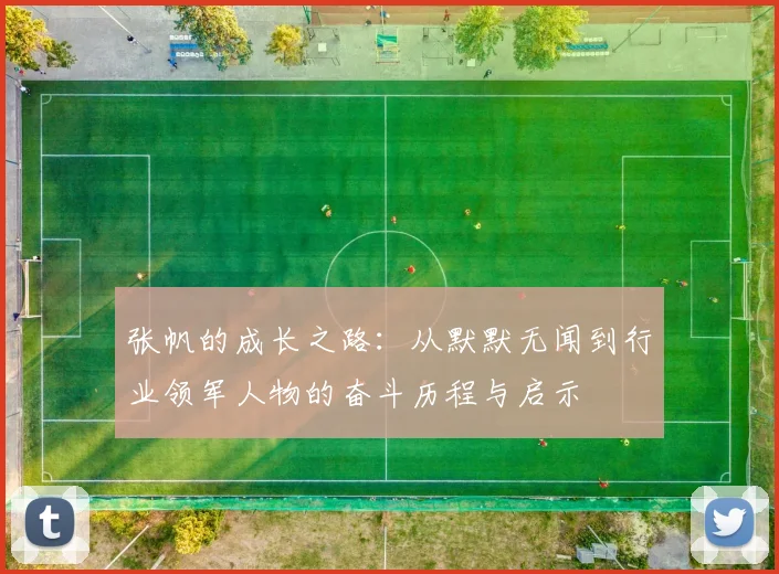 张帆的成长之路：从默默无闻到行业领军人物的奋斗历程与启示