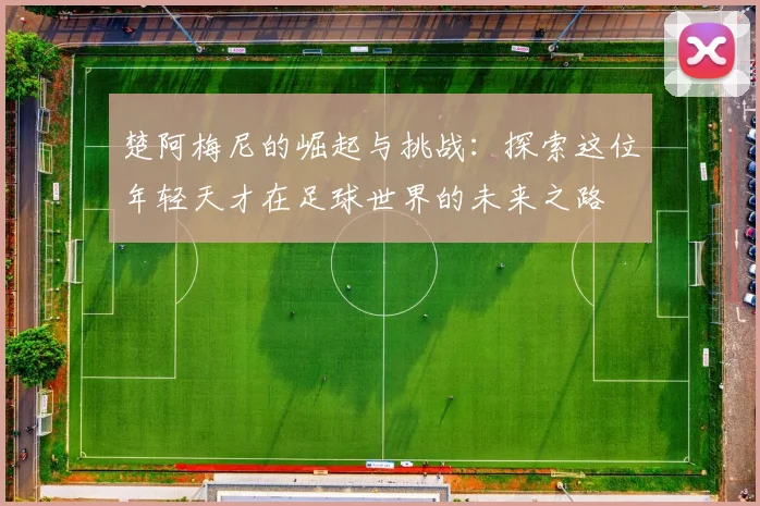 楚阿梅尼的崛起与挑战：探索这位年轻天才在足球世界的未来之路